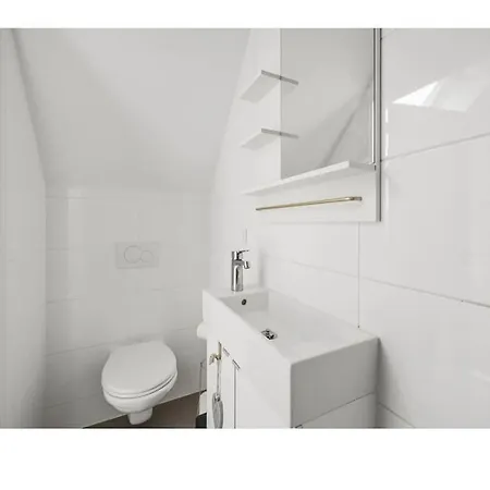 Zaans Tiny House *